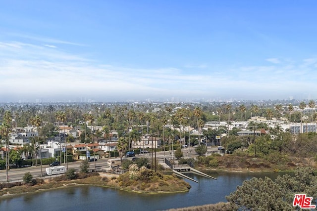 aerial view with a water view