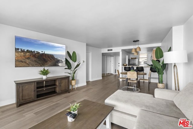 living room with hardwood / wood-style floors