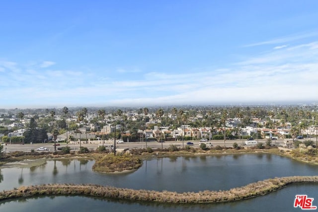 bird's eye view with a water view