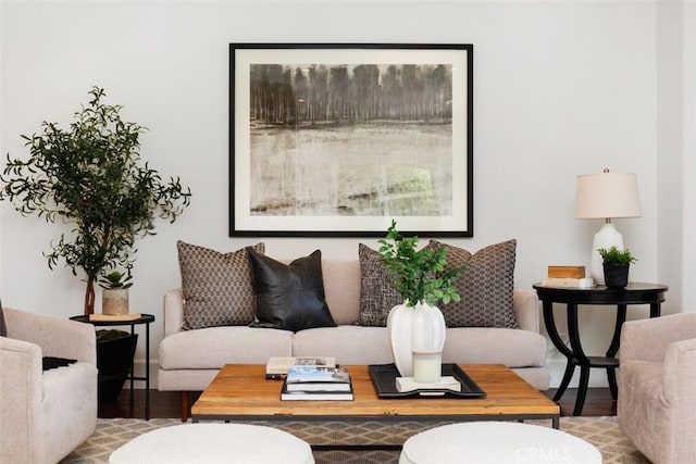 living room featuring wood finished floors