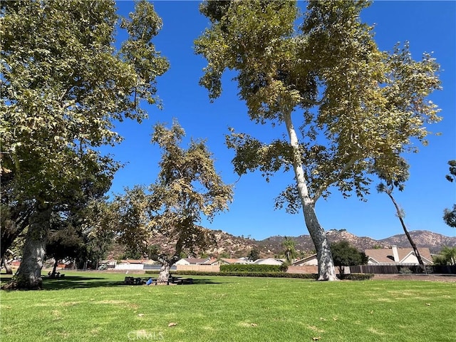 view of property's community featuring a mountain view and a yard