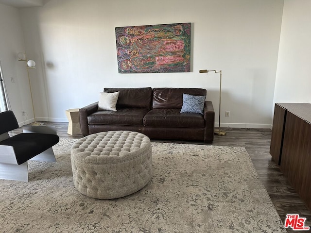 living room featuring dark hardwood / wood-style flooring