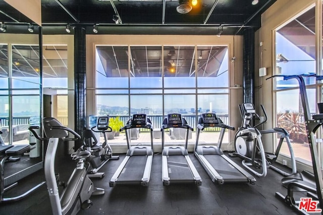 exercise room featuring floor to ceiling windows