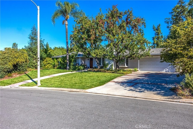 view of front facade with a front lawn and a garage