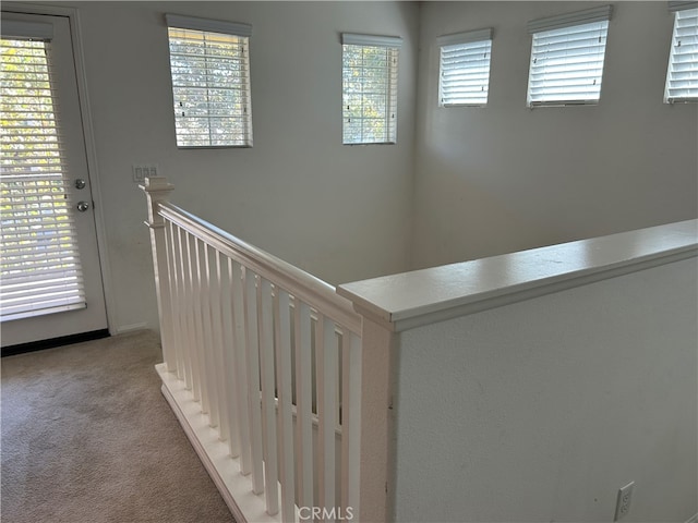 interior space featuring a healthy amount of sunlight and carpet