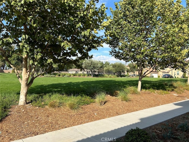 view of property's community with a yard