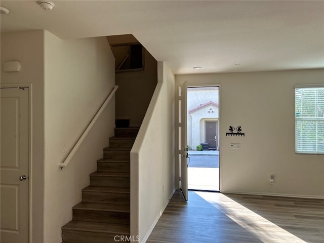 foyer entrance featuring hardwood / wood-style flooring