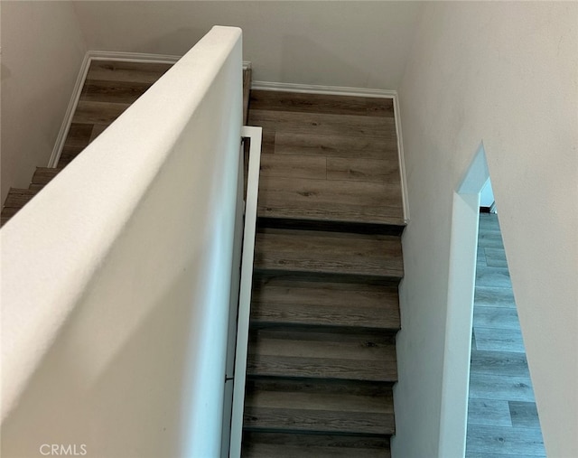 staircase with hardwood / wood-style flooring