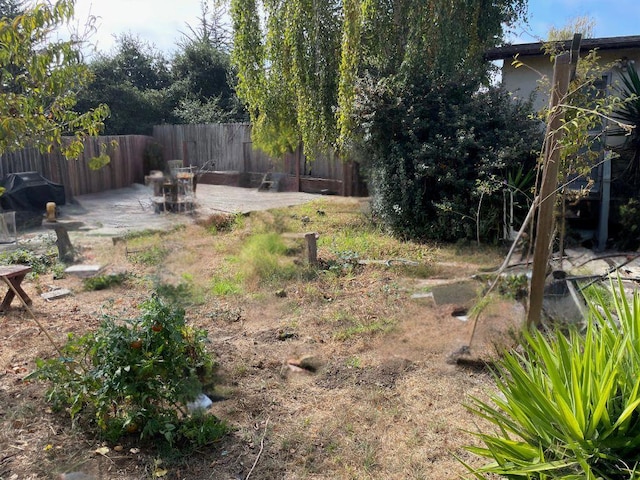 view of yard featuring a patio area