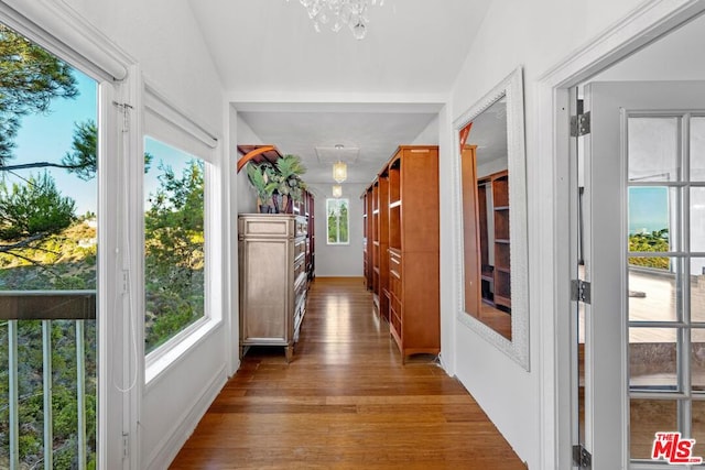 corridor featuring plenty of natural light and hardwood / wood-style floors