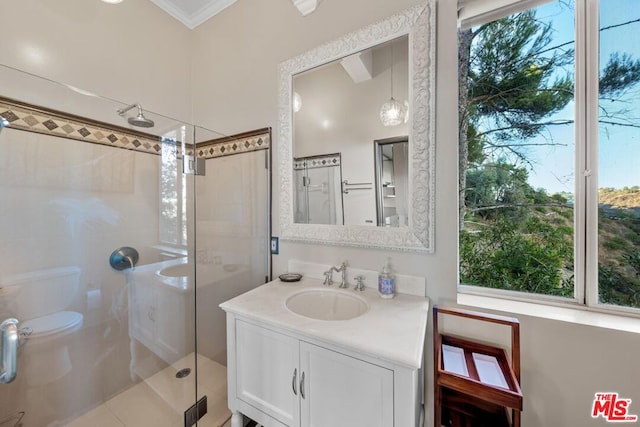 bathroom featuring vanity, a shower with shower door, toilet, and a wealth of natural light