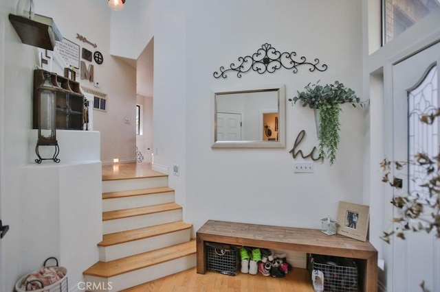 entryway featuring wood finished floors