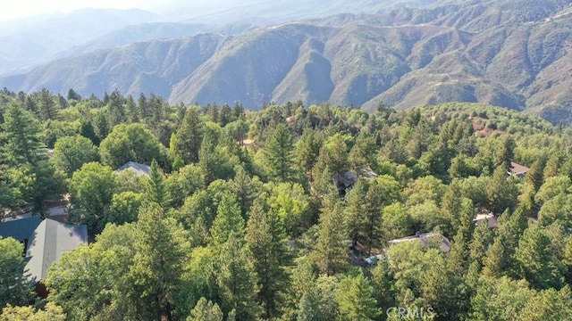 view of mountain feature with a wooded view