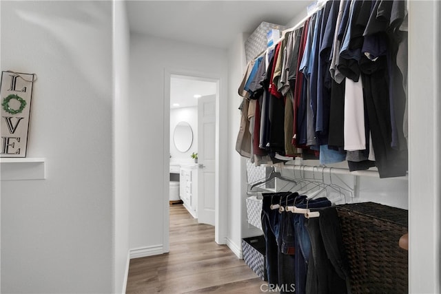 walk in closet featuring wood-type flooring