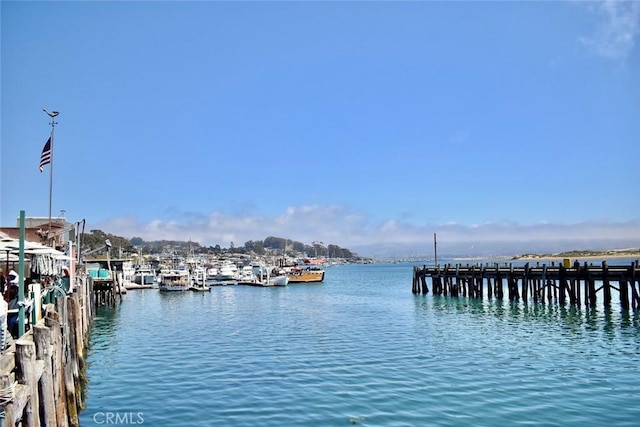 view of dock with a water view