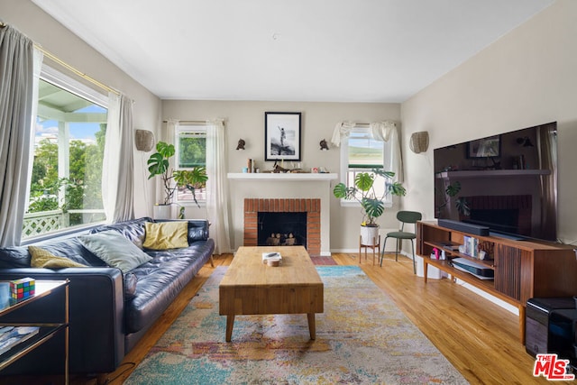 living room featuring a fireplace and wood-type flooring