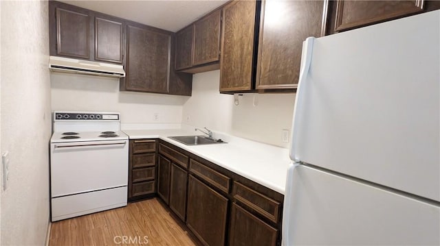 kitchen featuring white appliances, light hardwood / wood-style flooring, dark brown cabinetry, and sink