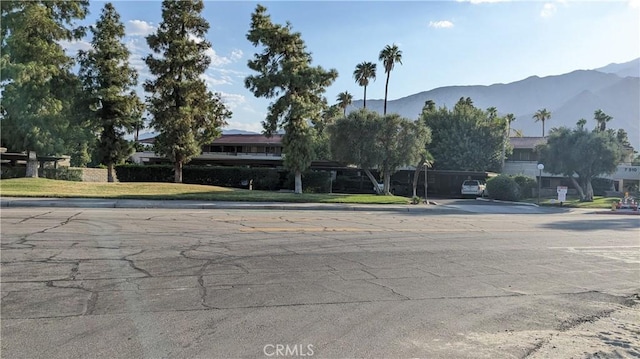 470 N Villa Ct Unit 205, Palm Springs, CA 92262 - photo 8