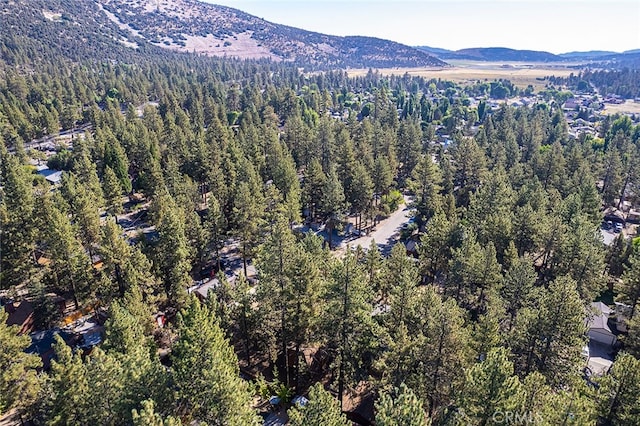 bird's eye view with a mountain view