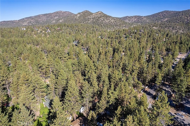 bird's eye view with a mountain view