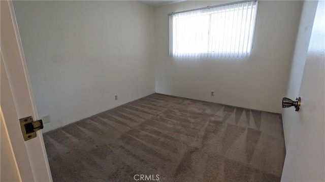 spare room with carpet floors