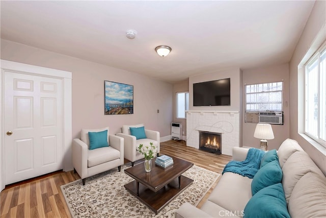 living room with a fireplace, heating unit, light wood-type flooring, and a healthy amount of sunlight