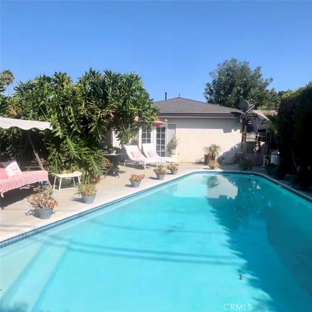 view of pool featuring a patio