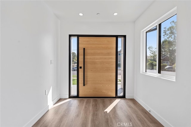 entryway with hardwood / wood-style floors