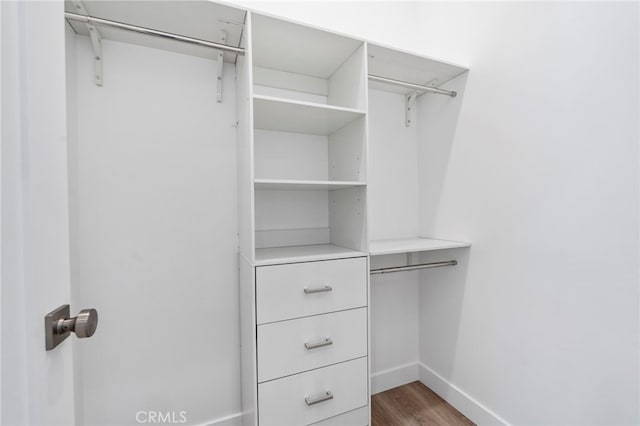 spacious closet featuring dark hardwood / wood-style floors