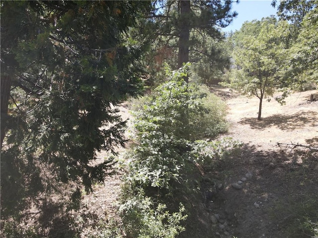 30215 Elfin Ct, Running Springs, CA 92382
