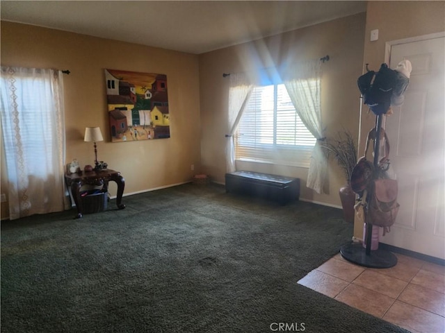 miscellaneous room with carpet floors