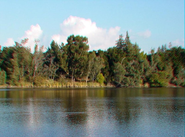 view of water feature