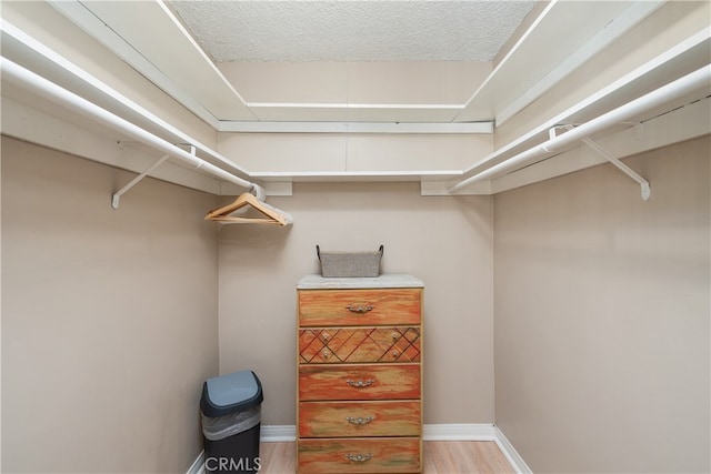 spacious closet with light wood-type flooring