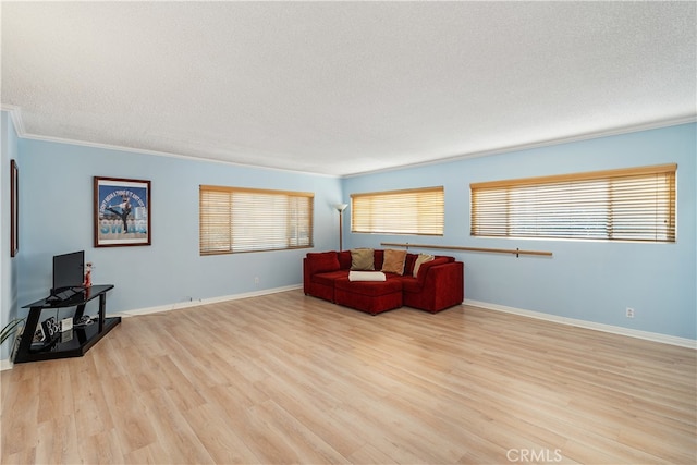 interior space with crown molding, light hardwood / wood-style flooring, and a textured ceiling