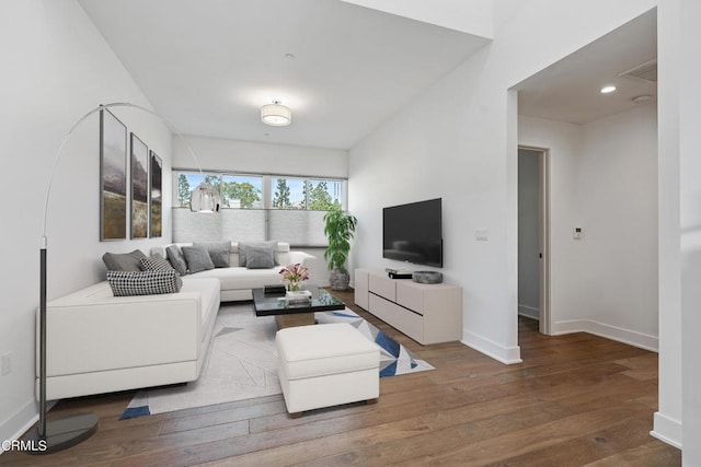 living room featuring hardwood / wood-style floors