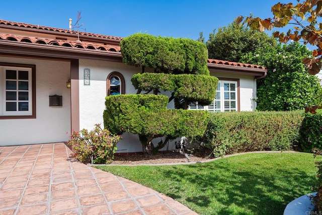 view of exterior entry featuring a lawn and a patio area