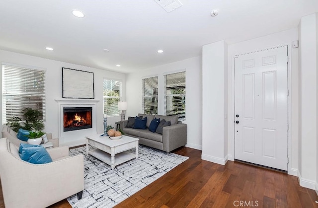 living room with dark hardwood / wood-style floors