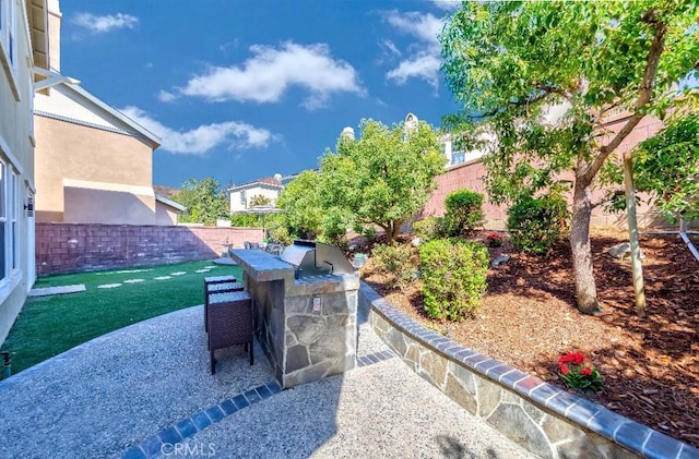 view of patio / terrace with a grill and exterior kitchen