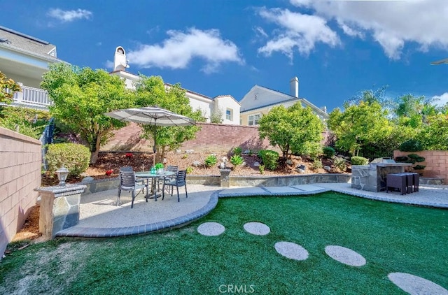 view of yard with a patio area