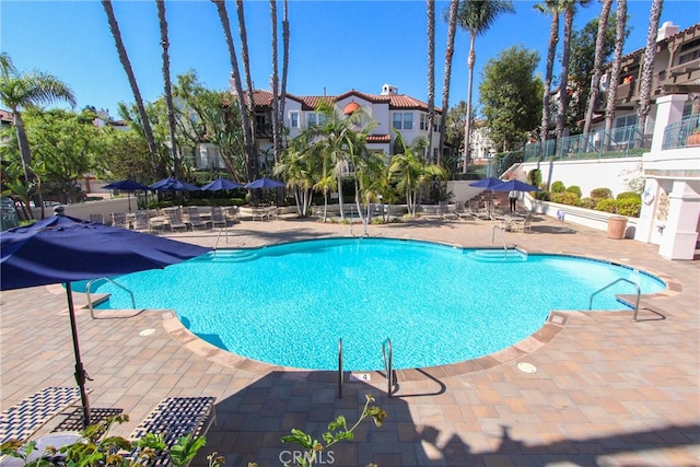 view of swimming pool with a patio