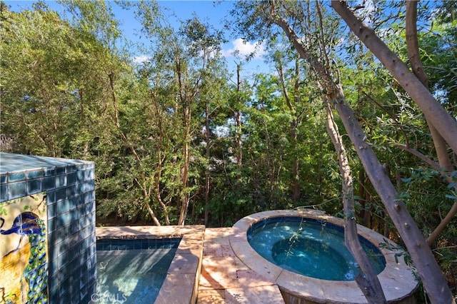 view of pool with an in ground hot tub