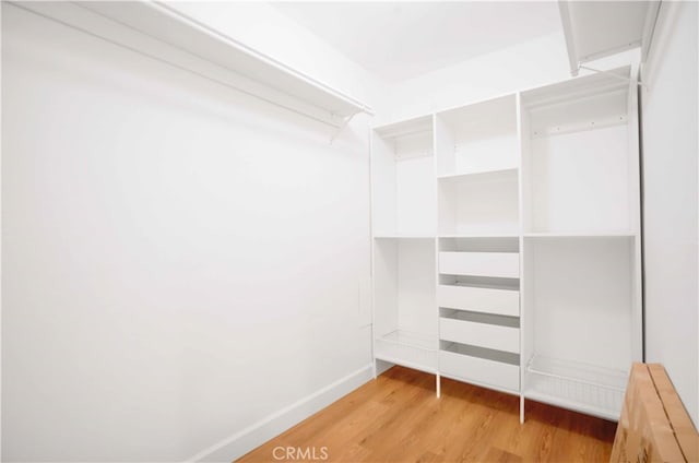 spacious closet featuring hardwood / wood-style flooring