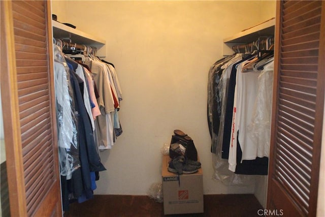 view of walk in closet