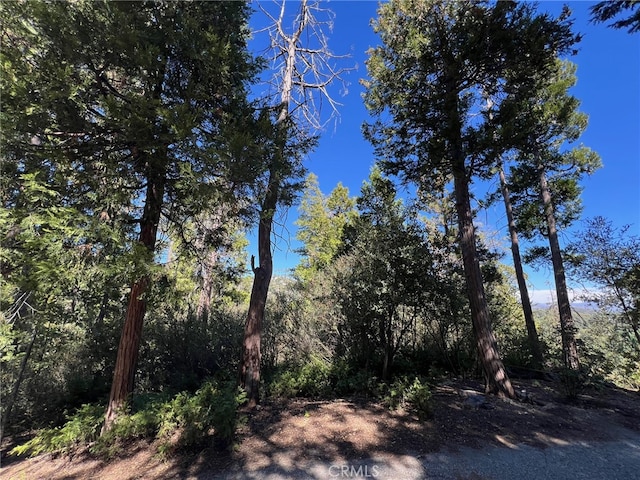 Listing photo 2 for 27530 N Bay Rd, Lake Arrowhead CA 92352