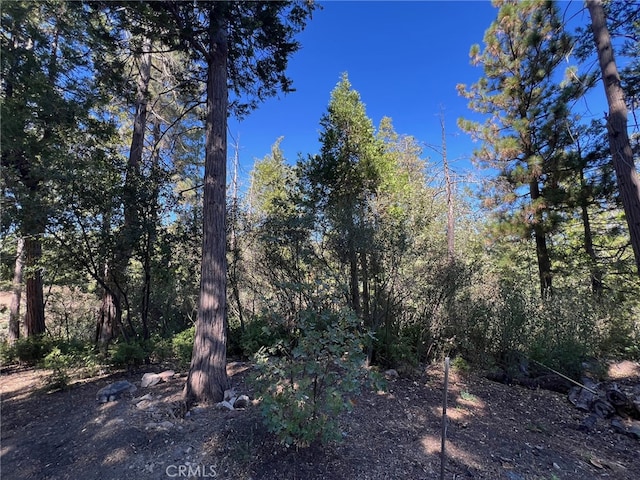 27530 N Bay Rd, Lake Arrowhead CA, 92352 land for sale