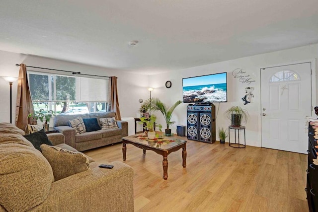 living room featuring light hardwood / wood-style floors