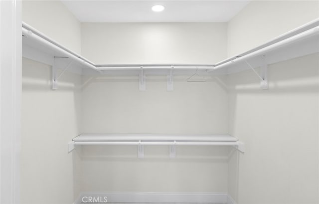 view of spacious closet