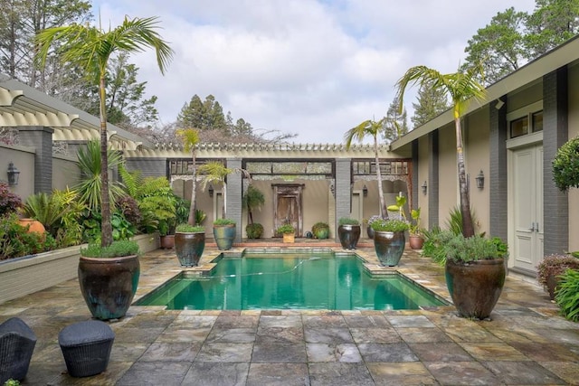 view of swimming pool with a patio area