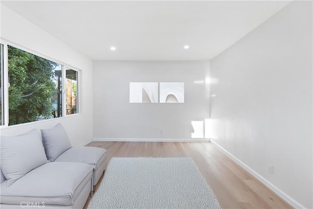 living room featuring light hardwood / wood-style floors