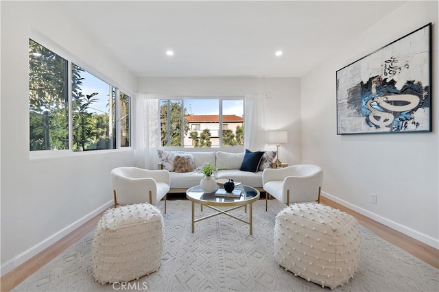 living room featuring light wood-type flooring